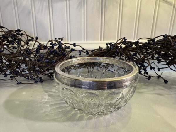 Vintage Leonard Silver Crystal Bowl with Silver-Plated Rim | Thumbprint Cut Design - Image 5