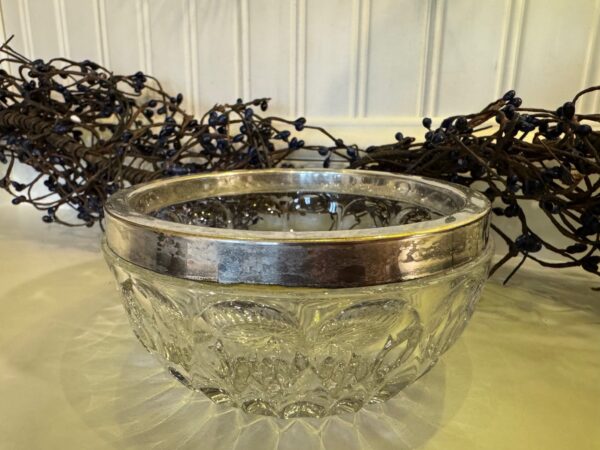 Vintage Leonard Silver Crystal Bowl with Silver-Plated Rim | Thumbprint Cut Design